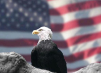 themed image